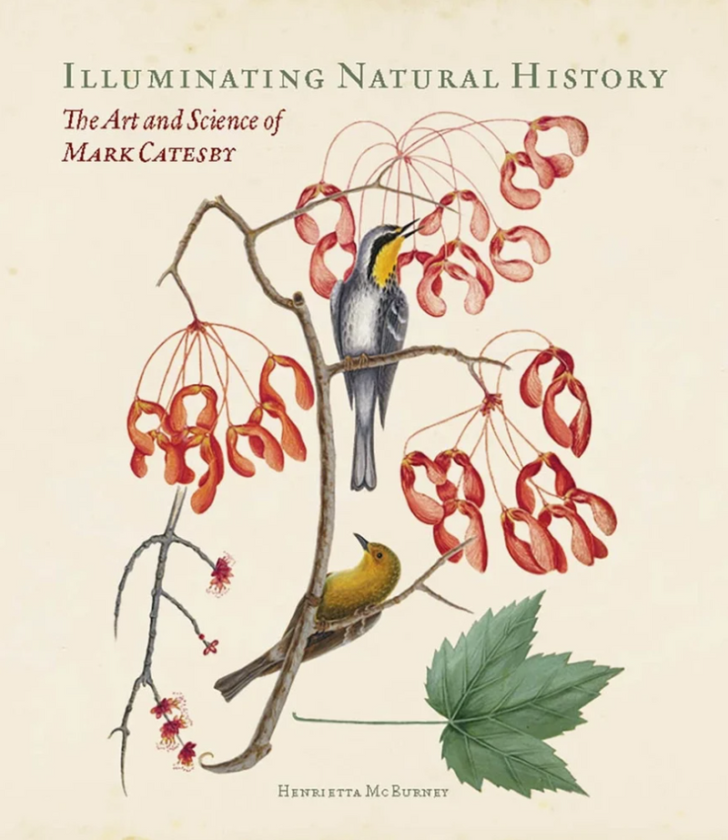 Illuminating Natural History